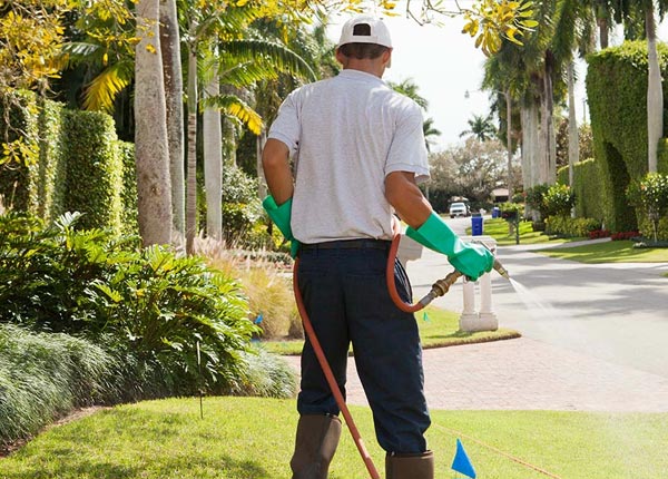 About Webster Springs WV Pest Control Pros